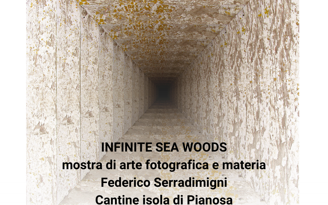 Infinite Sea Woods